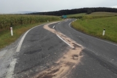 Ölspur zwischen Wörth und Unterrohr (1)
